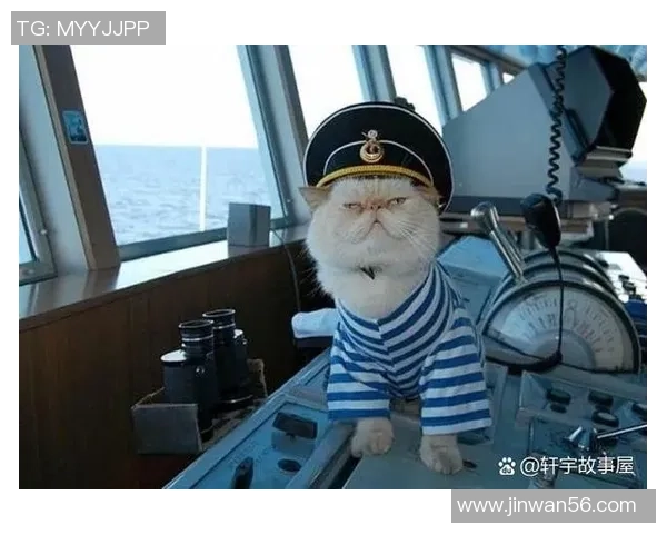 有哪些足球球星喜欢养猫以及他们与猫的有趣故事